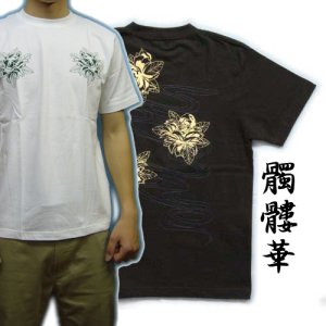 画像1: 紅雀 和柄 【髑髏牡丹の流水】 Ｔシャツ （名入れ刺繍可）通販 刺青 和彫り デザイン