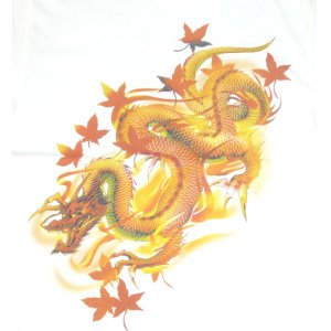 画像: 紅雀 和柄 赤龍 黒龍 フルカラー プリント Ｔシャツ 刺青 和彫り デザイン